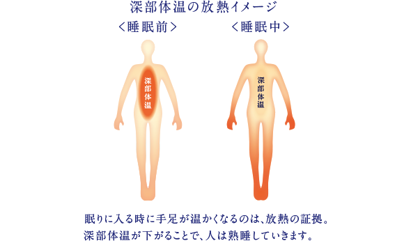 深部体温の放熱イメージ